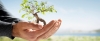 International Law of The Environment
