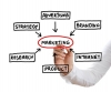MSc in Marketing