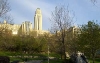 University of Montreal