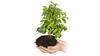 Grow to Greatness: Smart Growth for Private Businesses, Part II