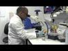Cancer in the 21st Century: the Genomic Revolution