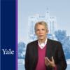 American Contract Law II