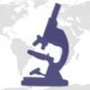 Data and Health Indicators in Public Health Practice