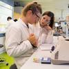 Teaching in University Science Laboratories (Developing Best Practice)