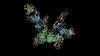 Drug Discovery