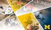 Case Studies in Continuous Educational Improvement