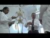 Going Out on a Limb: Anatomy of the Upper Limb
