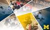 Improvement Science in Education