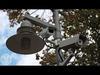Wiretaps to Big Data