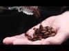 Identifying Food Fraud