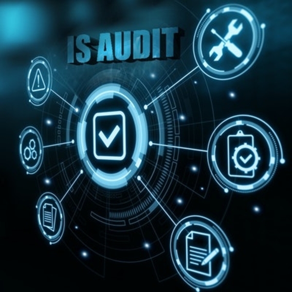 Information Systems Auditing, Controls and Assurance