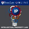 Intellectual Property Law