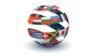 The Modern World, Part One: Global History from 1760 to 1910