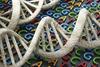 Genomic Technologies in Clinical Diagnostics: Next Generation Sequencing