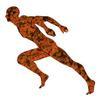 Science of Exercise