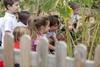 Supporting Successful Learning in Primary School