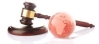 MA IN EUROPEAN AND INTERNATIONAL BUSINESS LAW