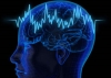 Euro-Mediterranean Master of Neuroscience