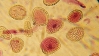 Advanced Molecular Chemistry Course