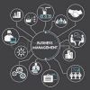 Business and Management