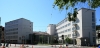 Hanken School of Economics