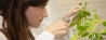 Agricultural Biology Bachelor of Science
