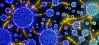 Bio and Nano Materials - Master's Programme in Chemistry